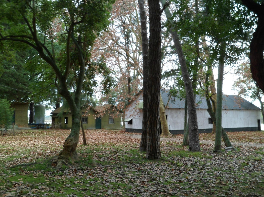 Parque Anchorena-科洛尼亚·德尔萨克拉门托城必去景点