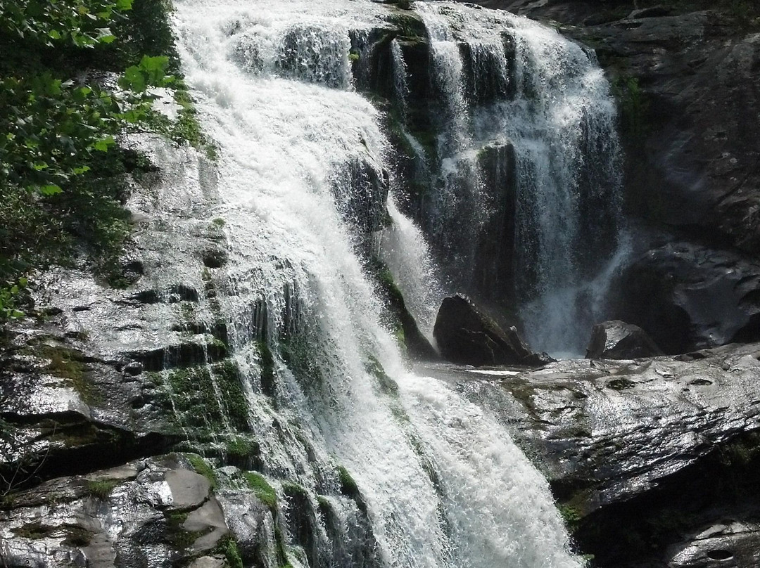 Bald River Falls景点图片