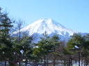 忍野村酒店住宿-福奇托米塔日式旅馆