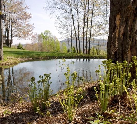 Upland Meadow House-官方