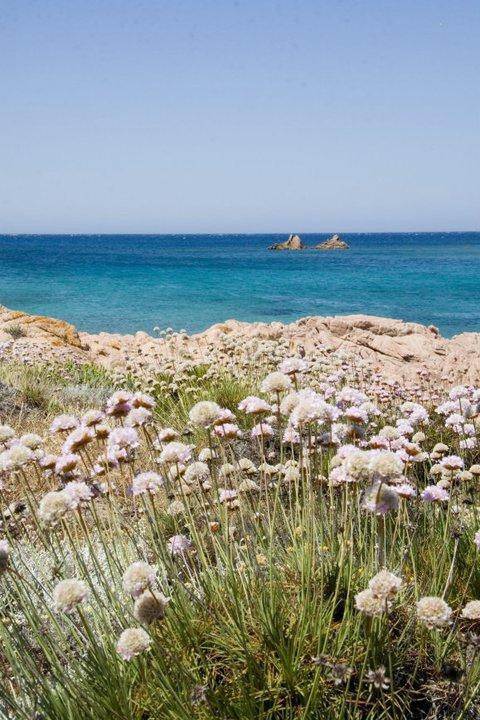 Spiaggia Cala Sarraina-Trinita d'Agultu e Vignola必去景点