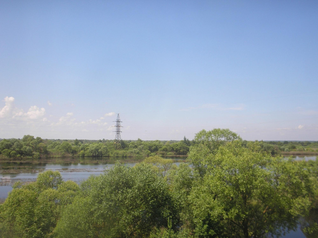 Lyaskovichi旅游攻略图片