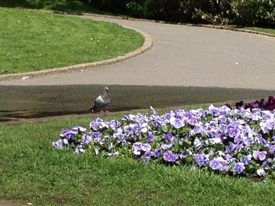 卡尔·约翰斯大道-奥斯陆必去景点
