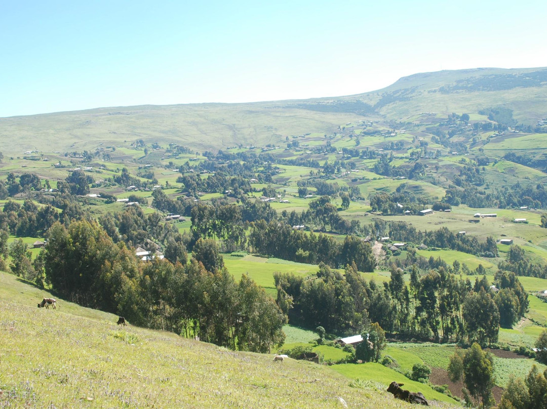 Debre Markos旅游攻略图片