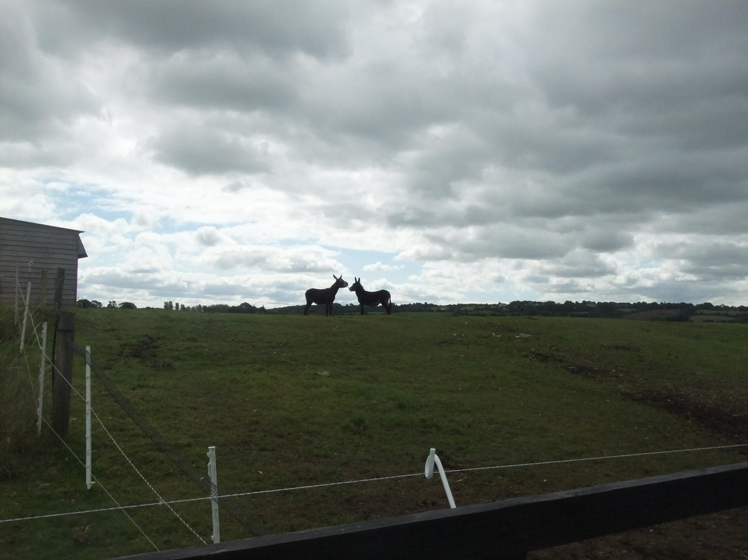 The Donkey Sanctuary-Mallow必去景点
