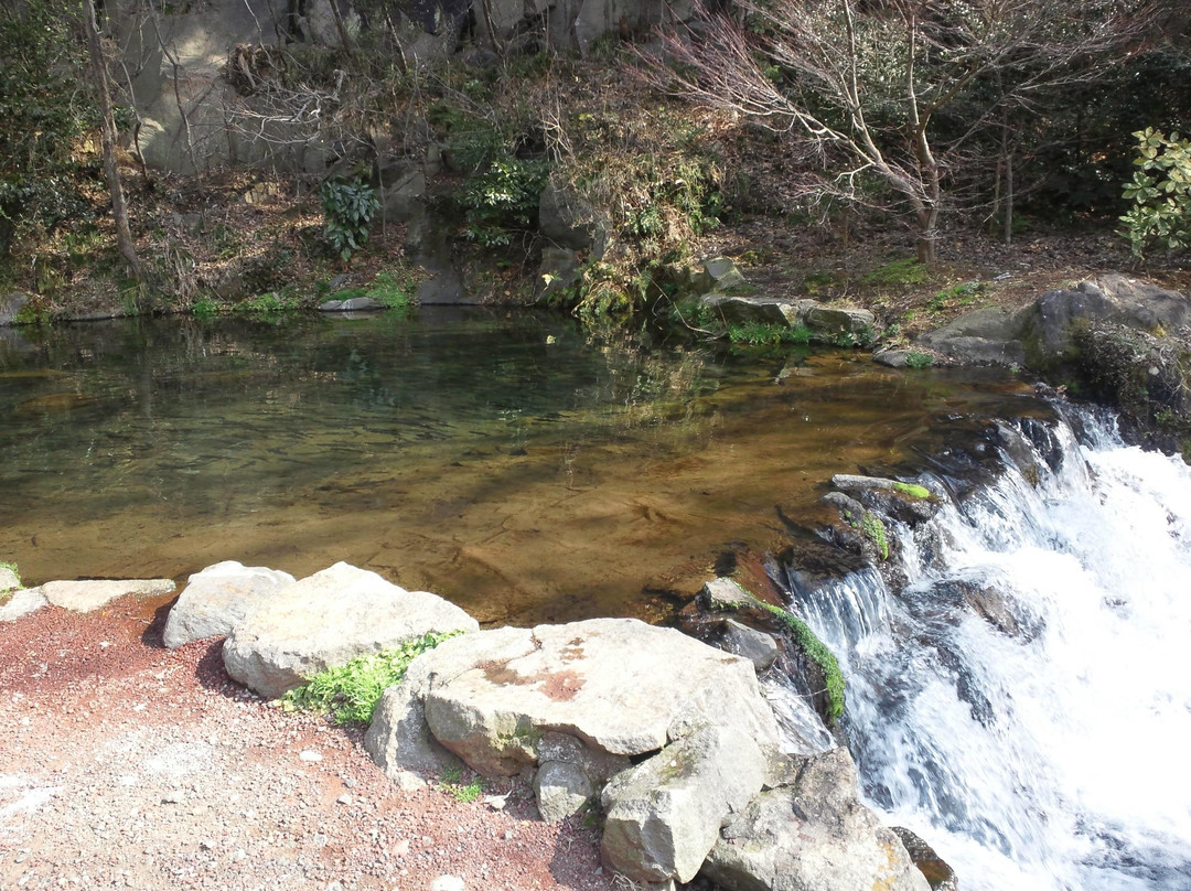 Susono Fishing Park-裾野市必去景点