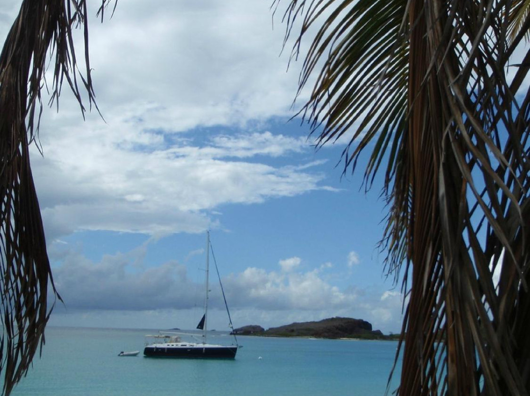 SailCaribe Yacht Charter-Ceiba必去景点