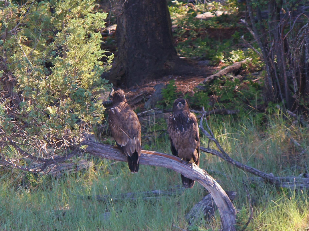 Flathead Lake State Park-卡利斯佩尔必去景点