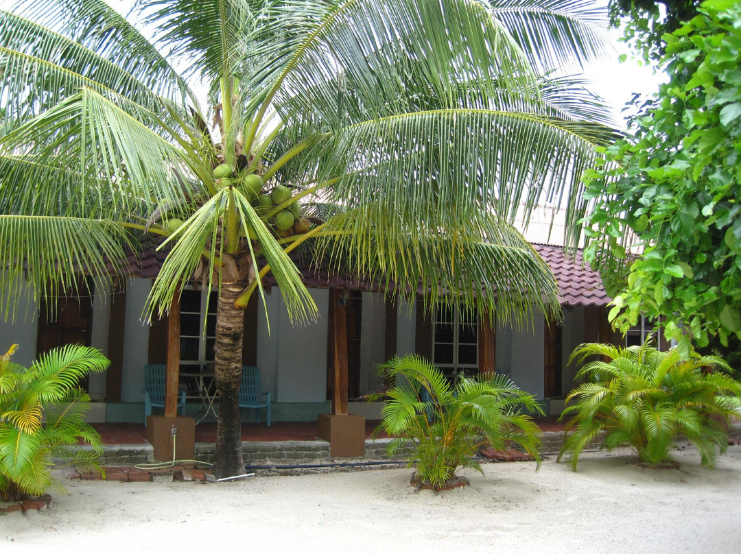 Yoga Now Langkawi景点图片