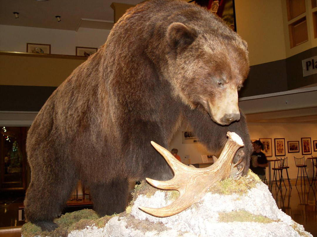 Museum of the Plains Indian-科迪必去景点