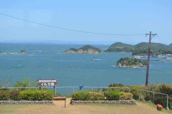 Dolphin Island景点图片