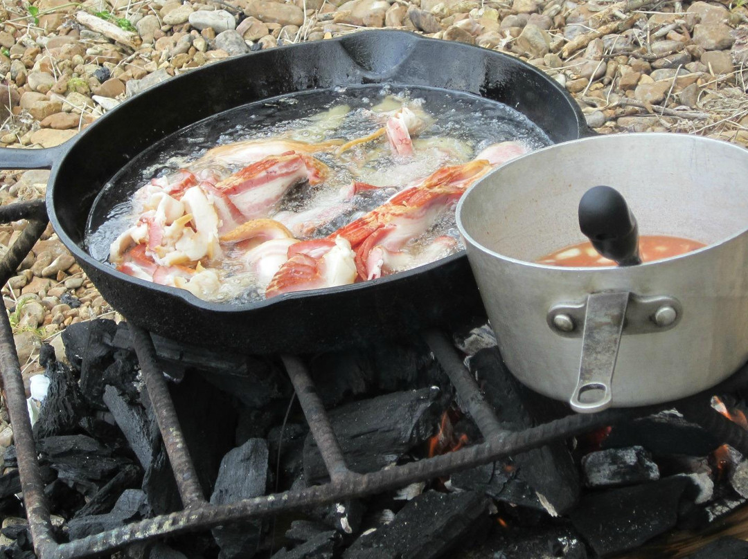 Cotter Trout Dock Guided Trout Fishing Tours景点图片