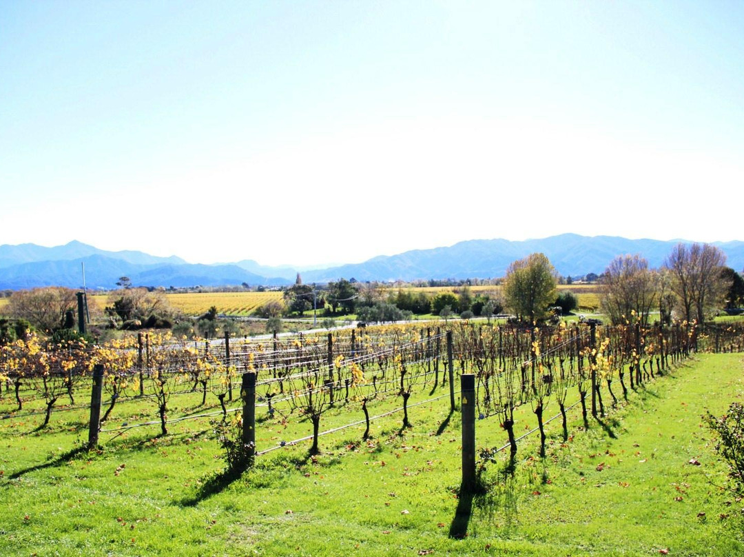 Marlborough Tours景点图片