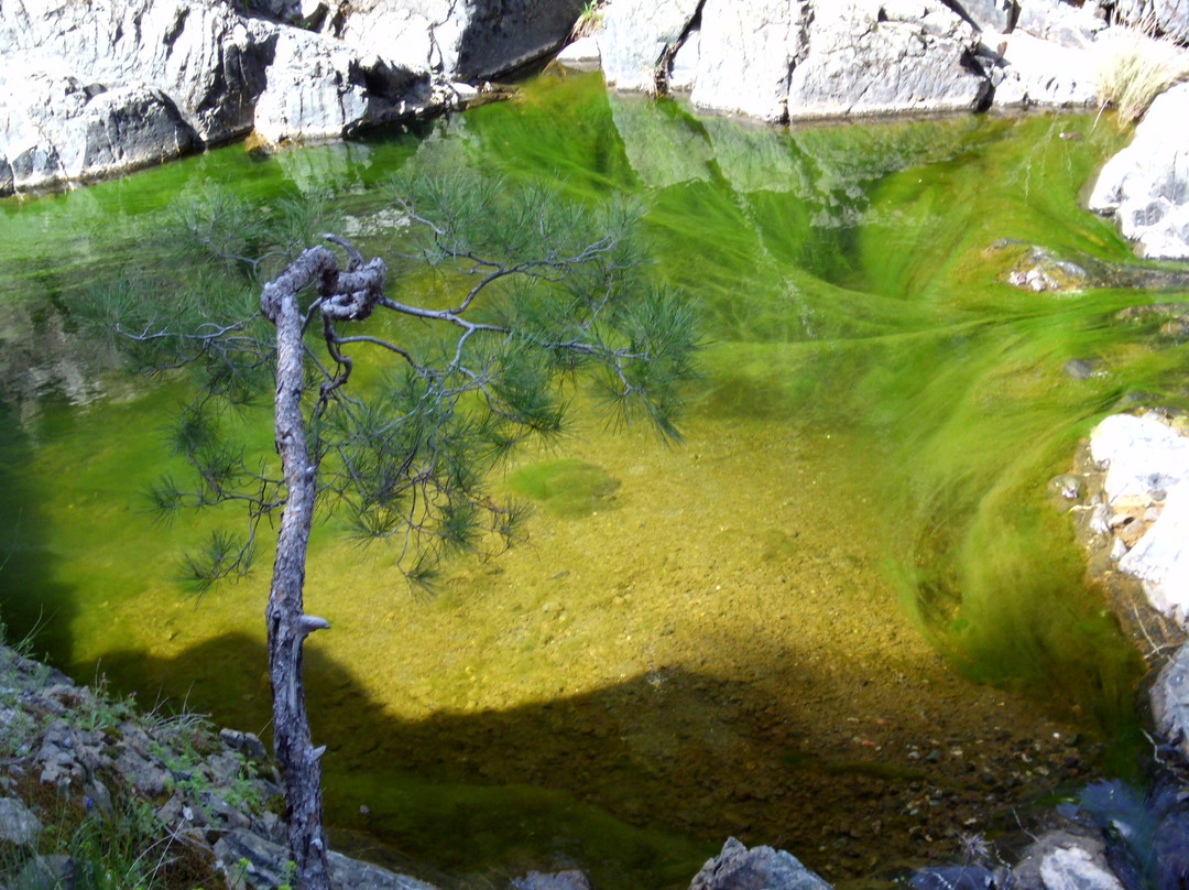 Pessa Springs-Lesbos必去景点