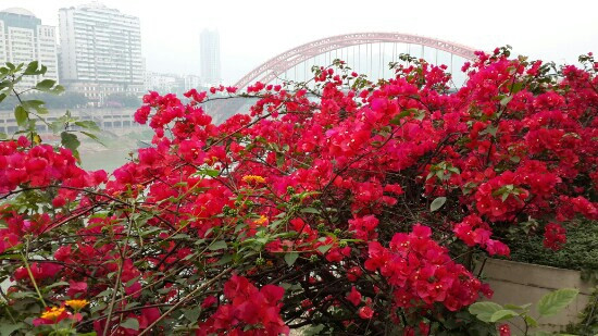 宜宾翠屏山风景区-宜宾市必去景点