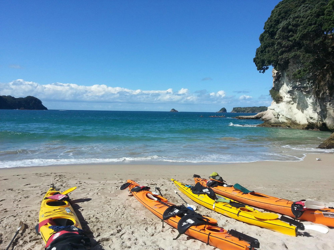 Cathedral Cove Kayak Tours-哈海必去景点