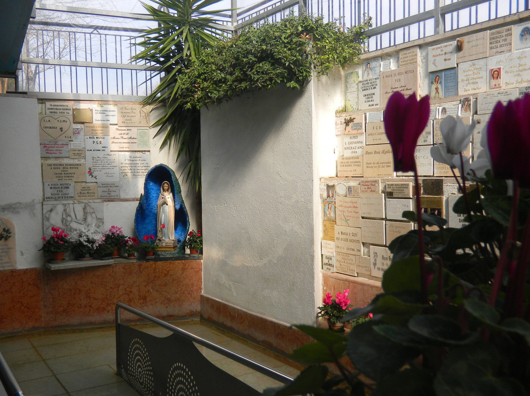 Santuario Diocesano Rosa Mistica 景点图片