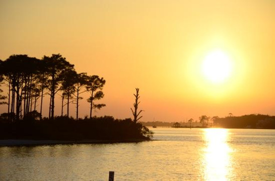 Orange Beach Private Family Dolphin Tours & Boating Safaris-橙色海湾必去景点