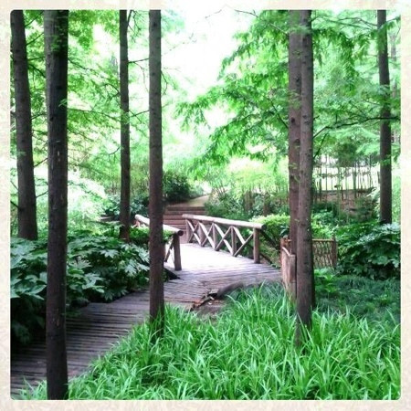 延中绿地-上海市必去景点