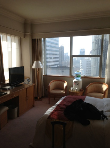 佳新大酒店主图