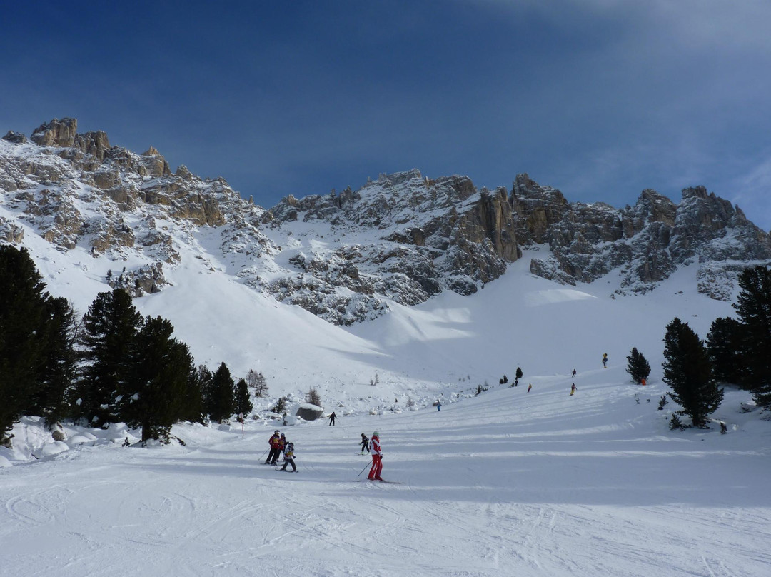 Ski Center Latemar景点图片