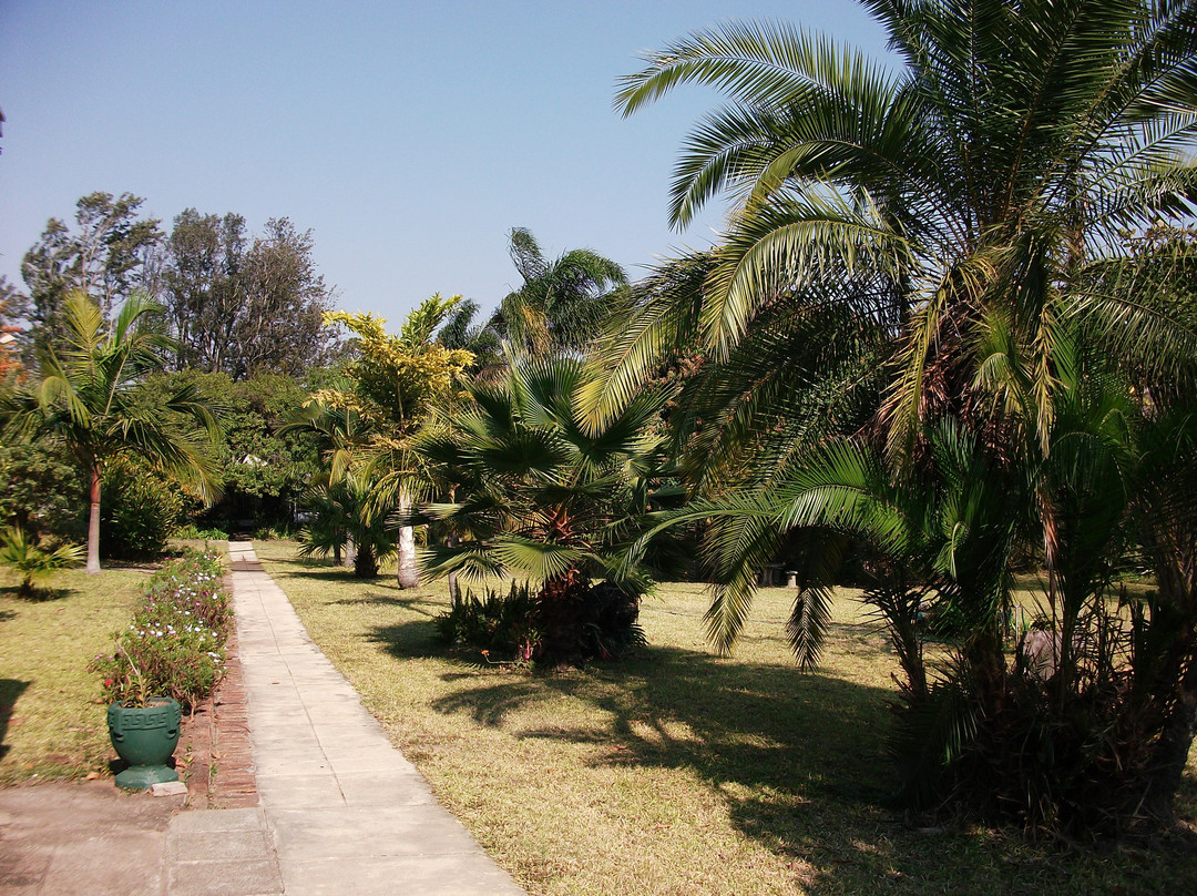 The Homestead Guesthouse主图
