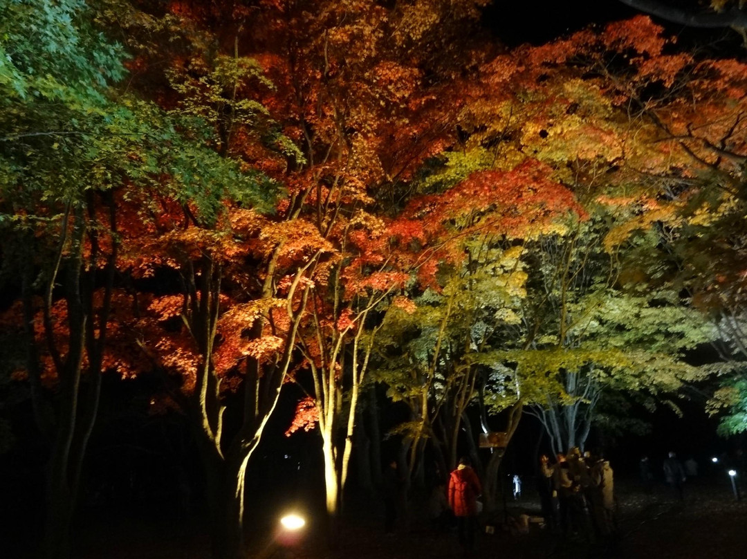 Miharashi Park (Kosetsuen)-函馆市必去景点