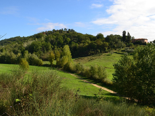 The Truffle Hunter-佛罗伦萨必去景点