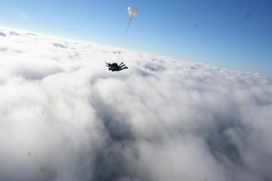 Skydive East Tennessee-New Market必去景点