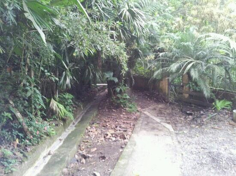 El Choyin-福德圣卡洛斯必去景点