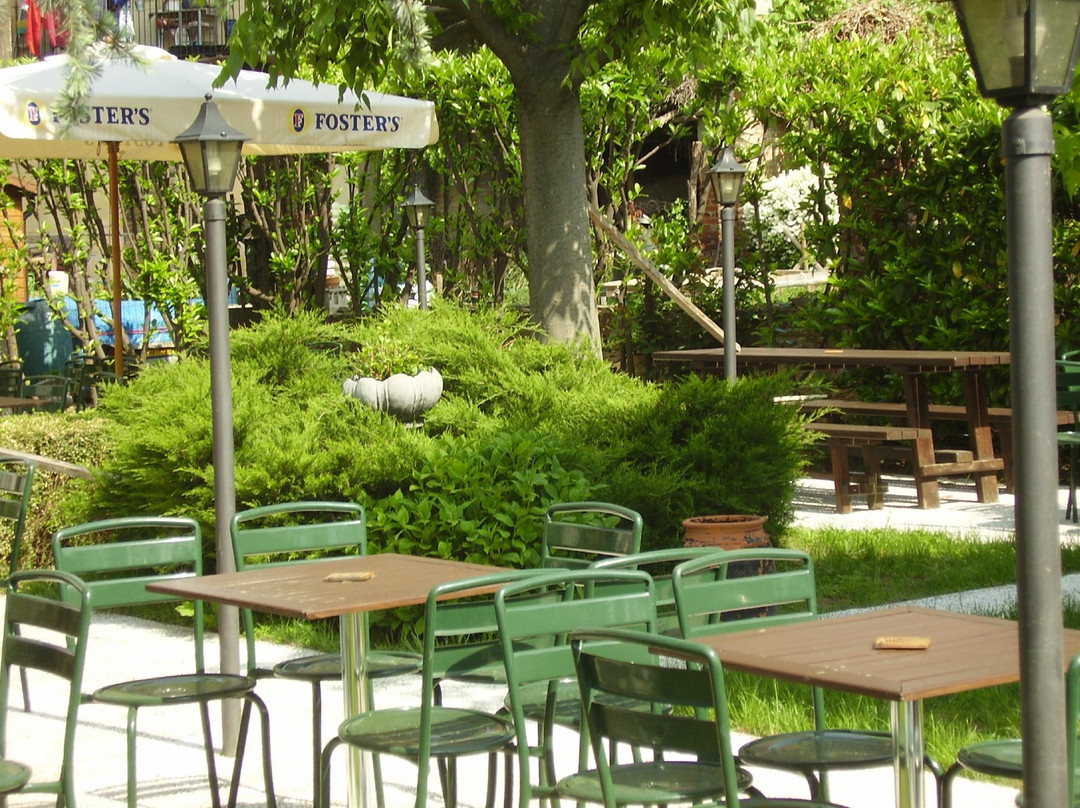 Verzuolo餐馆和美食-The Black Baron Pub