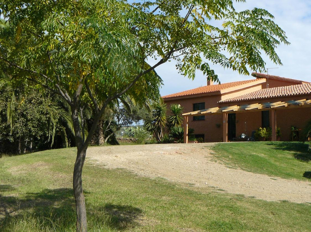 La Posada del Cavallo B & B