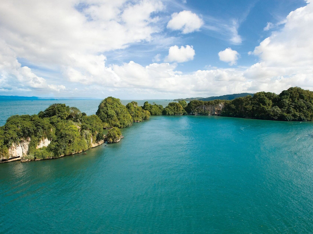Whale watching Samana - Humpback whales tour & Excursion景点图片