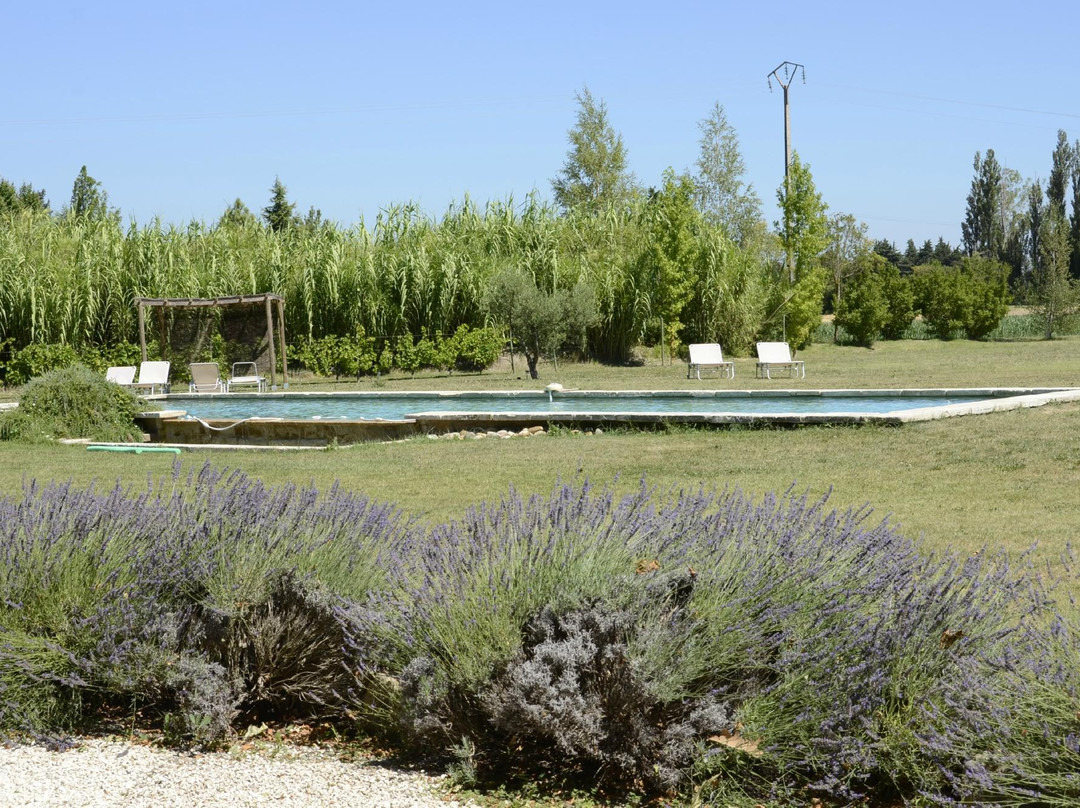 La Garance en Provence