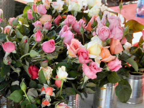 Carrboro Farmers Market-Carrboro必去景点