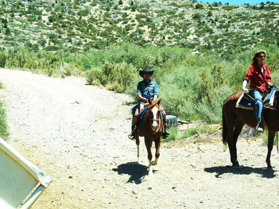 Mount Charleston Riding Stable-Mount Charleston必去景点