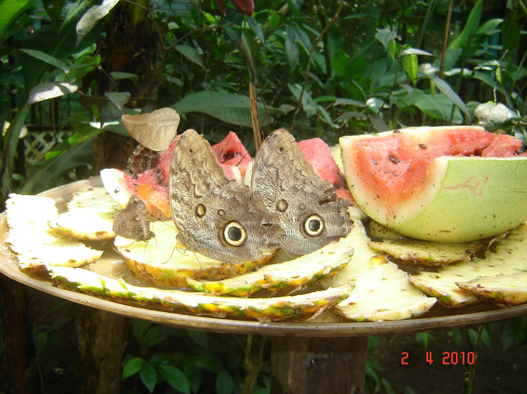 Ecogetaways Travel Designs景点图片