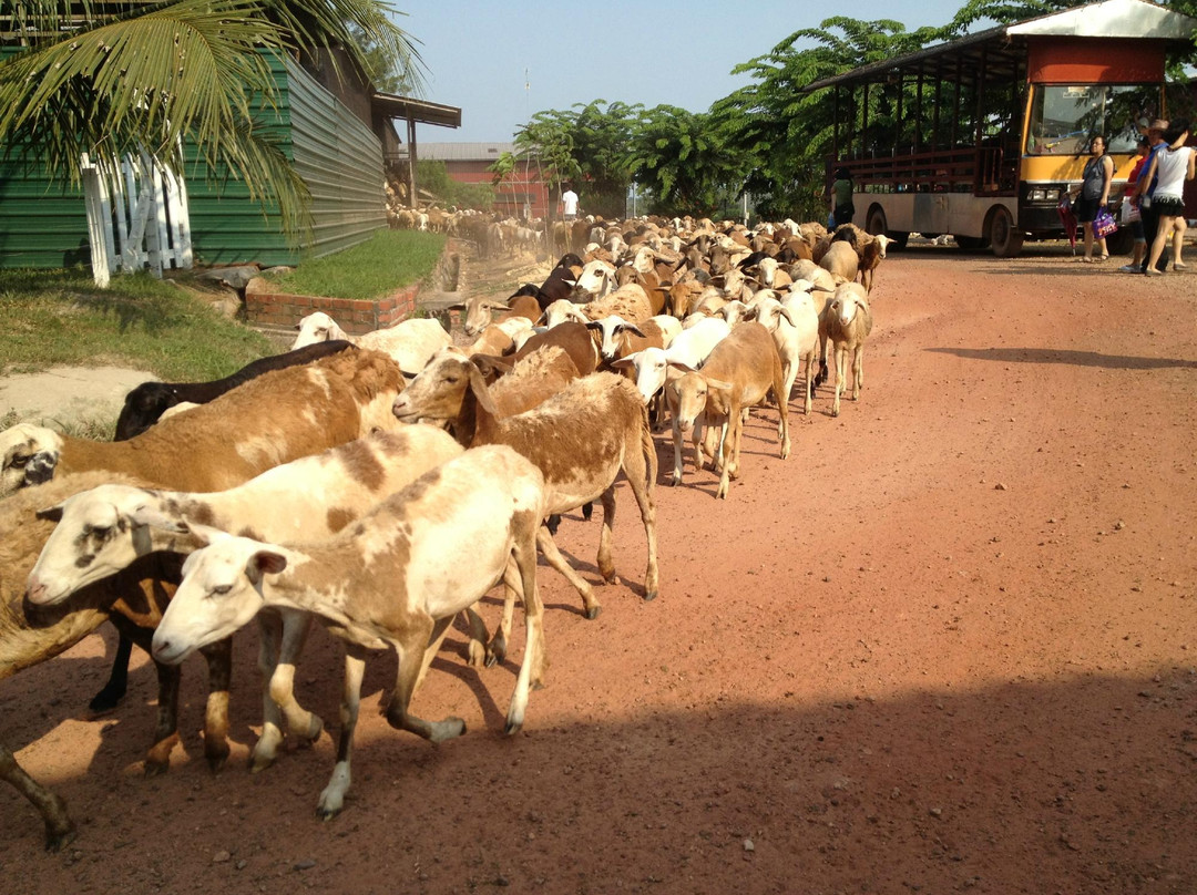 UK Farm-居銮必去景点