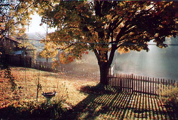 MeadowLark Farm Bed and Breakfast主图