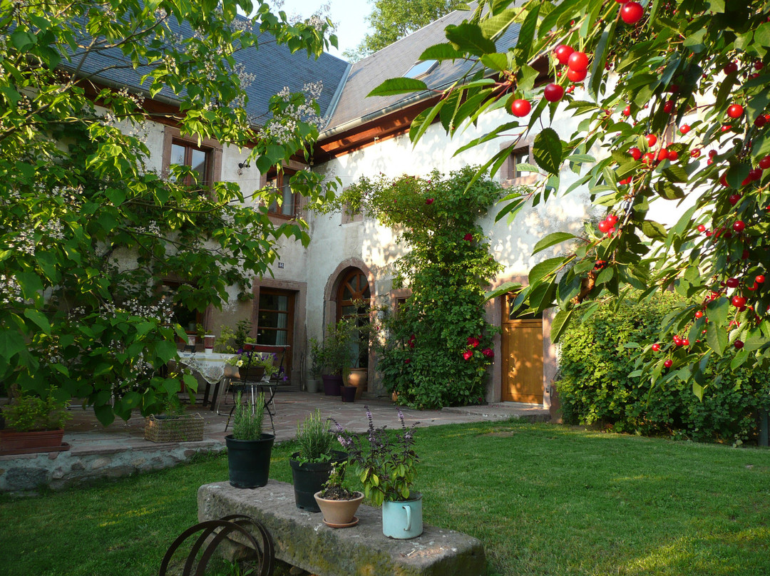 Labaroche酒店住宿-Le Chat Rouge