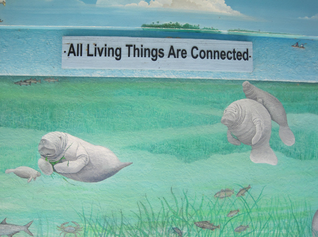 Manatee Park-迈尔斯堡必去景点