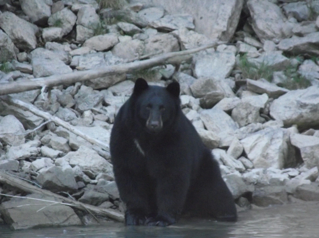 River Safari-Blue River必去景点