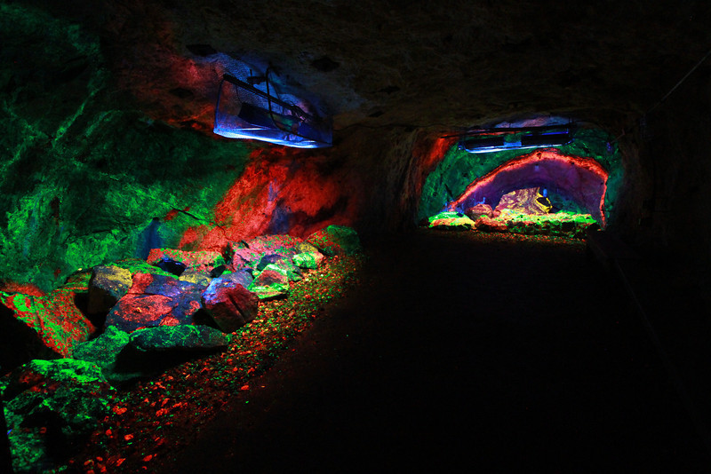 Sterling Hill Mining Museum-Ogdensburg必去景点