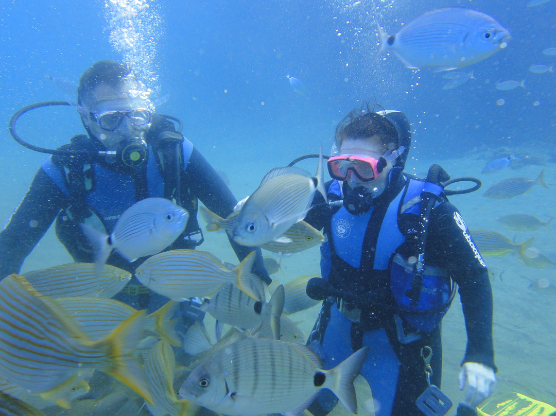 Manta Diving Lanzarote-卡门港必去景点
