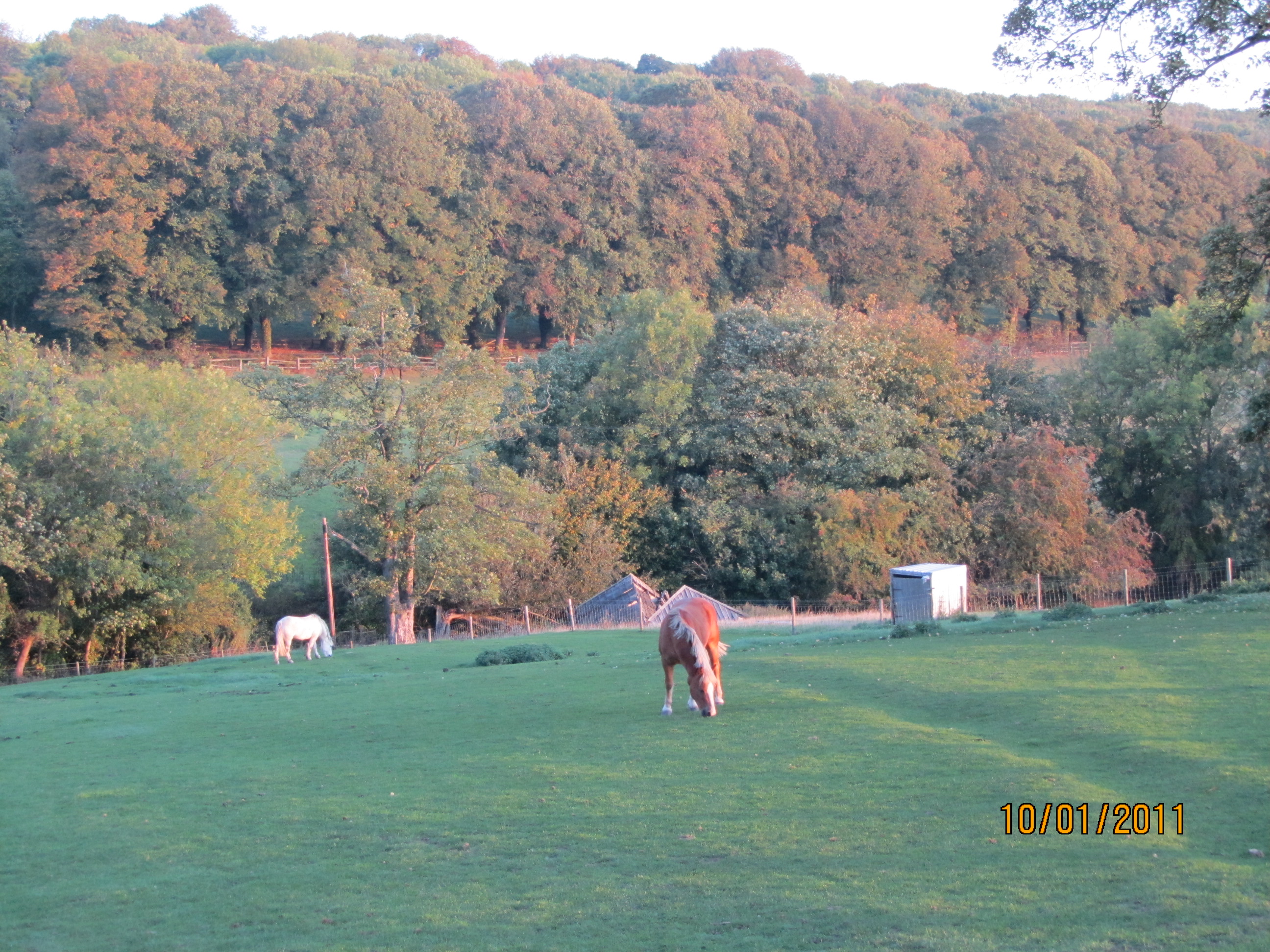 Postlip Hall Farm B&B-酒店景观