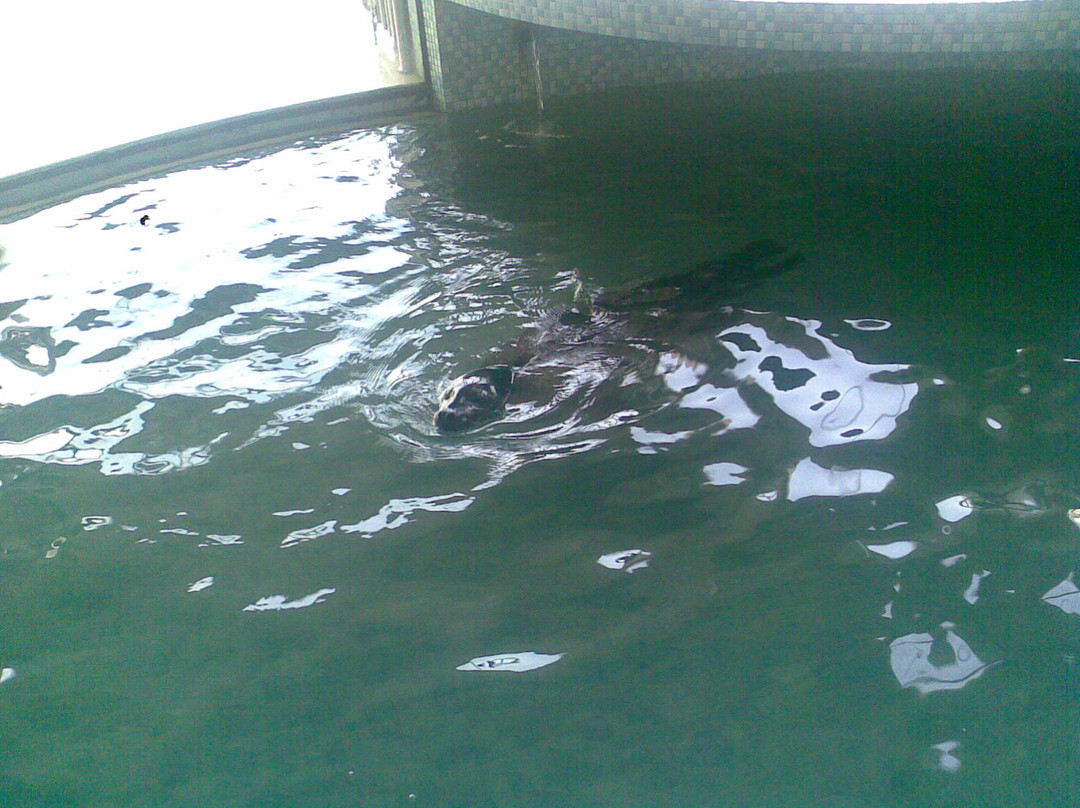 中塑石浦大酒店主图