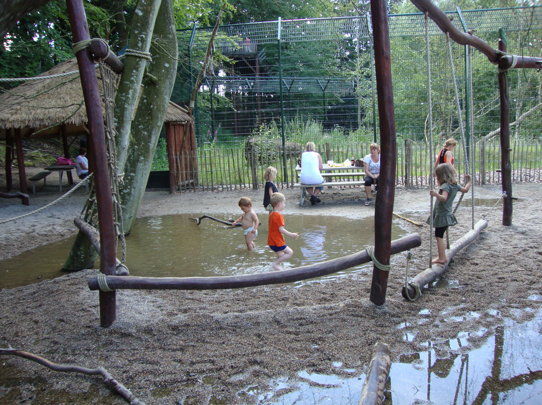 Ree Park Safari景点图片