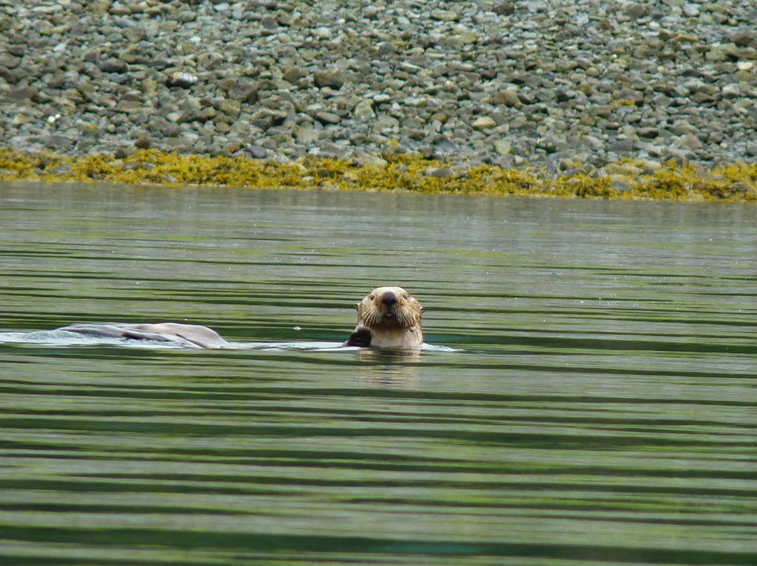 Miller's Landing-苏厄德必去景点