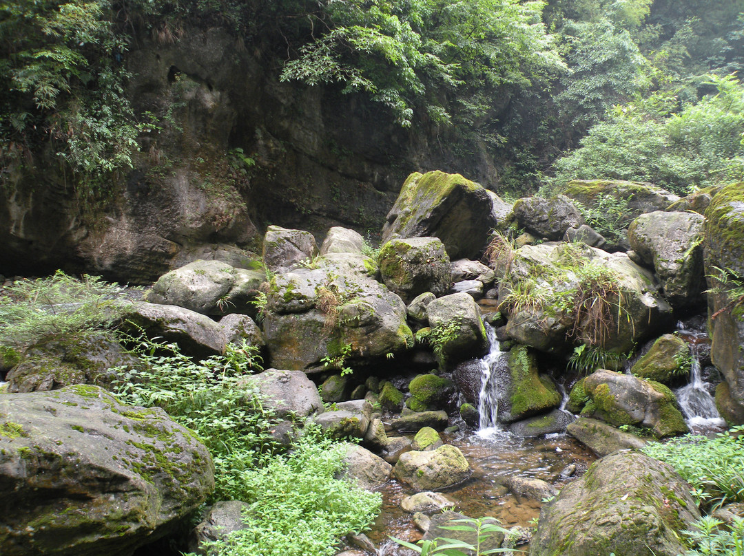 紫江地缝生态旅游区景点图片