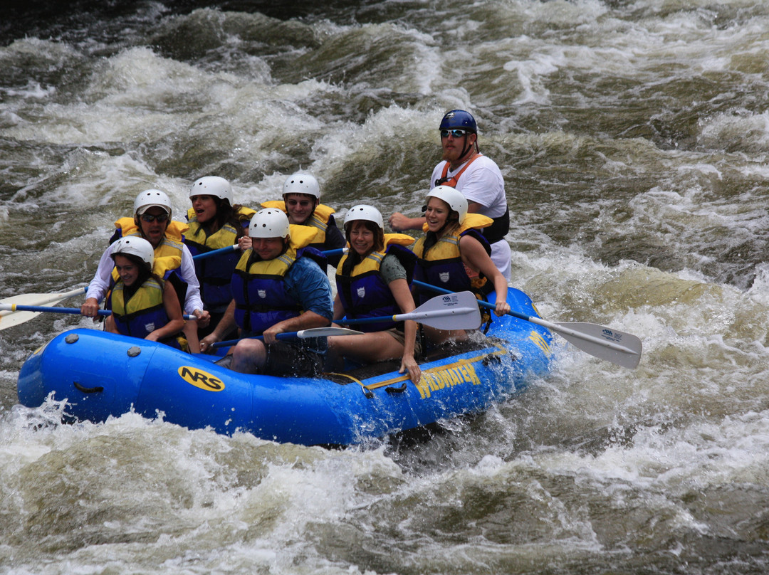 Wildwater Rafting - Pigeon-Hartford必去景点